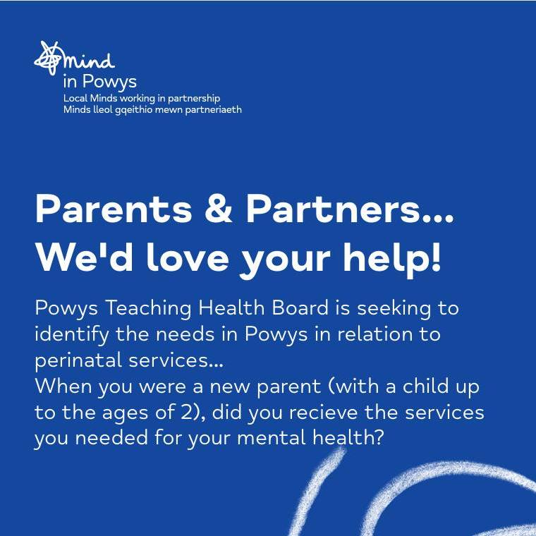 Survey for Parents Perinatal (from pregnancy to 2 years) support